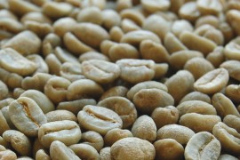 认识咖啡生豆、坦桑尼亚PB咖啡生豆/Peaberry圆豆、哈拉尔咖啡、喀麦隆咖啡