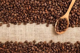 咖啡制作培训：如何看清巴西咖啡豆的品质分级