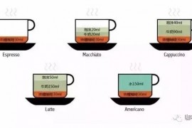 【咖啡常识】意式 VS 手冲，意式咖啡与手冲咖啡之间的区别