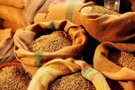 埃塞俄比亚咖啡：西达莫产区、耶加雪菲产区、哈拉尔产区、吉玛产区