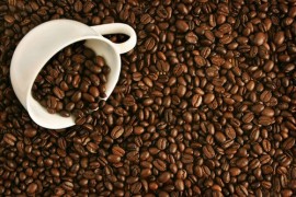 咖啡的生长习性、巴西咖啡生产和咖啡农园、肯尼亚：咖啡模范生产国、世界各国的咖啡豆