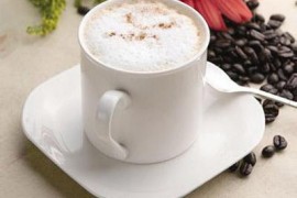 比利时皇家咖啡壶冲泡法、咖啡机的规格
